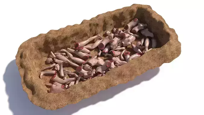 Big Common pit human body parts