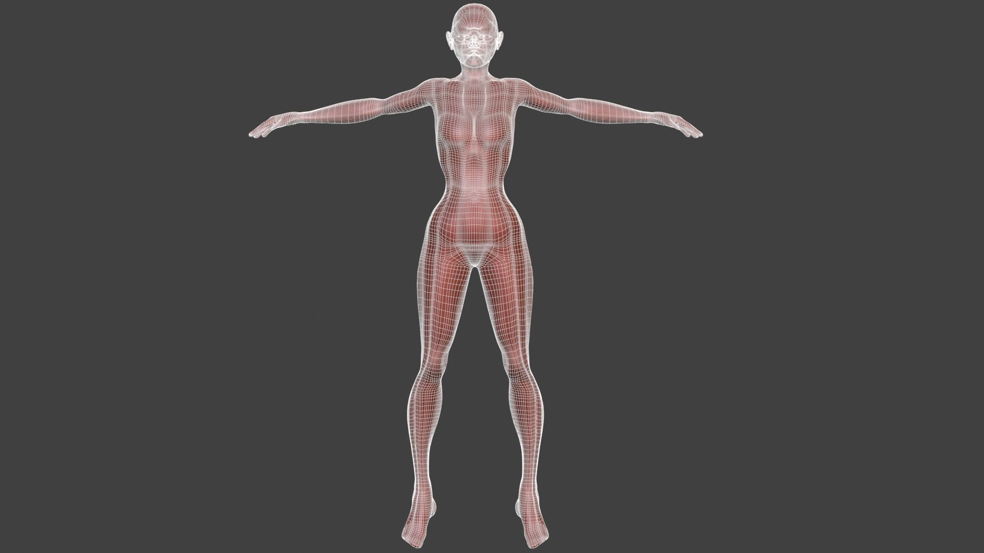 Stylized Female Character 3d model 3D model_13