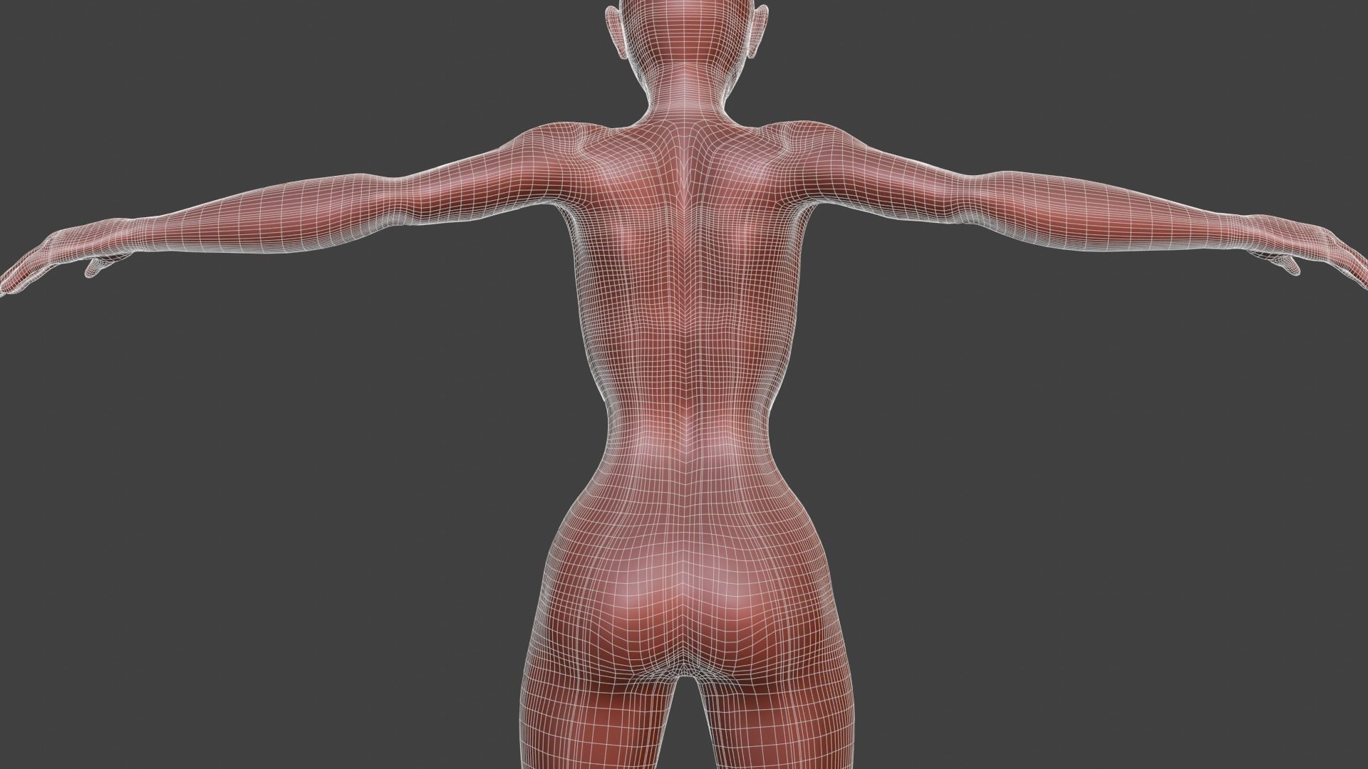 Stylized Female Character 3d model 3D model_9