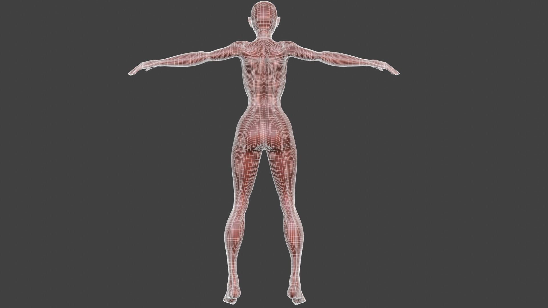 Stylized Female Character 3d model 3D model_14