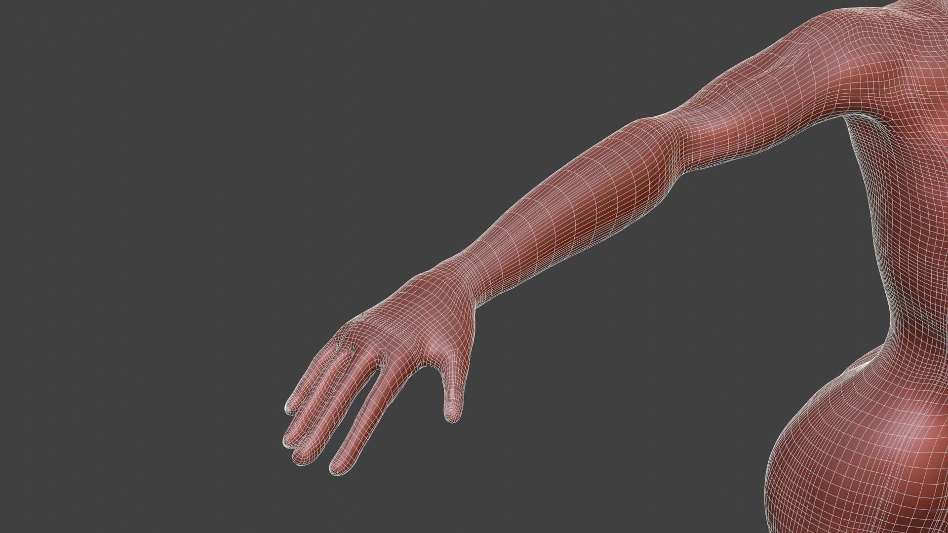 Stylized Female Character 3d model 3D model_11