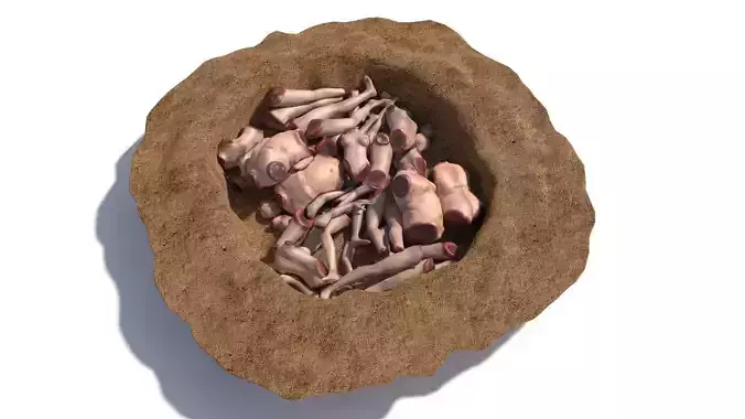 Small Common pit human body parts