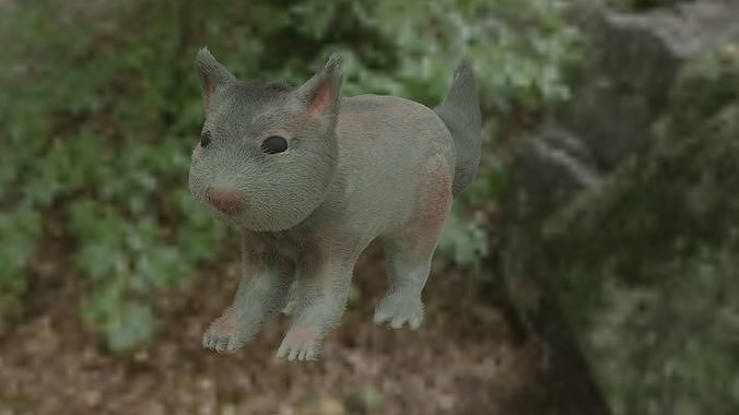 squirrel Free 3D model