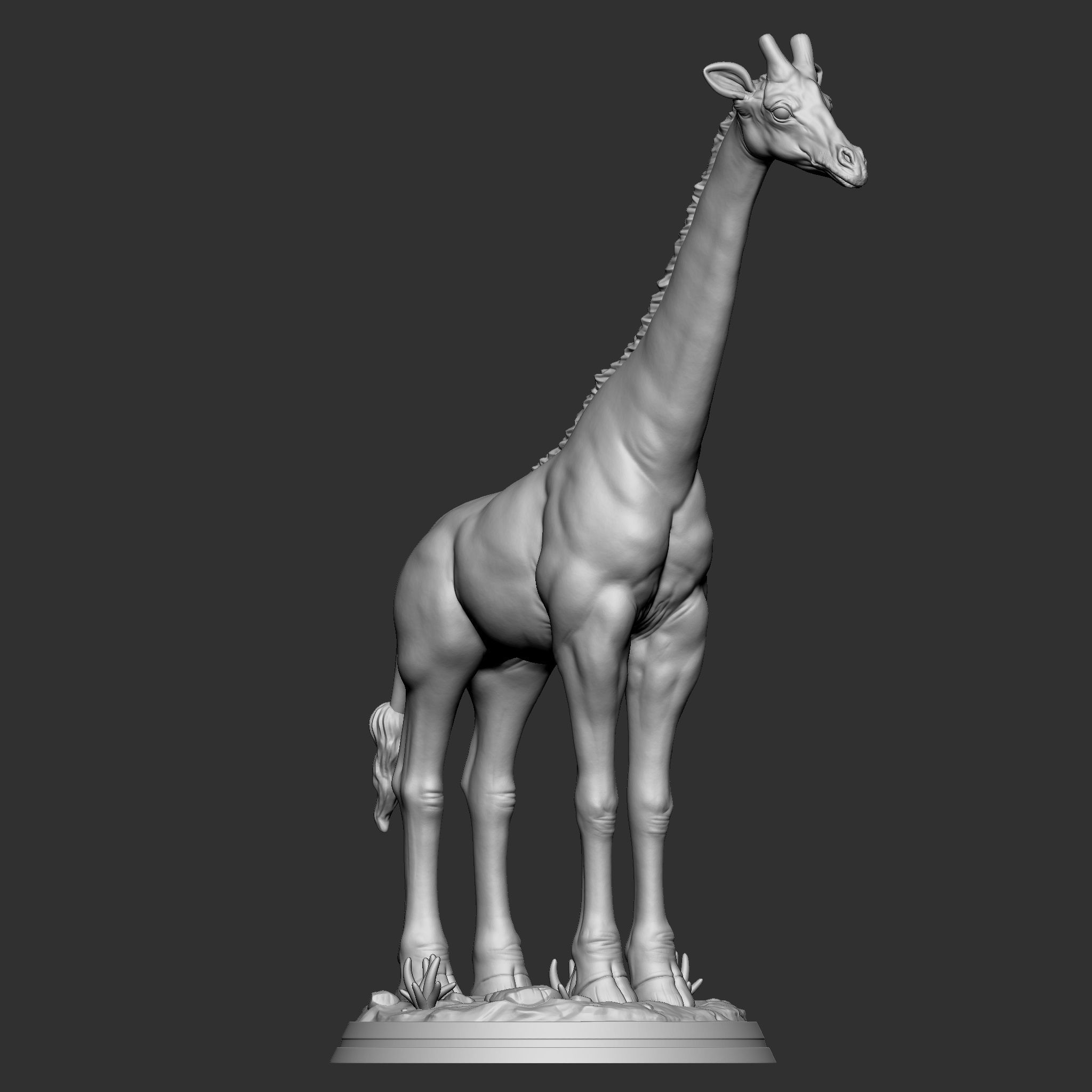 GIRAFFE 3D print model_10