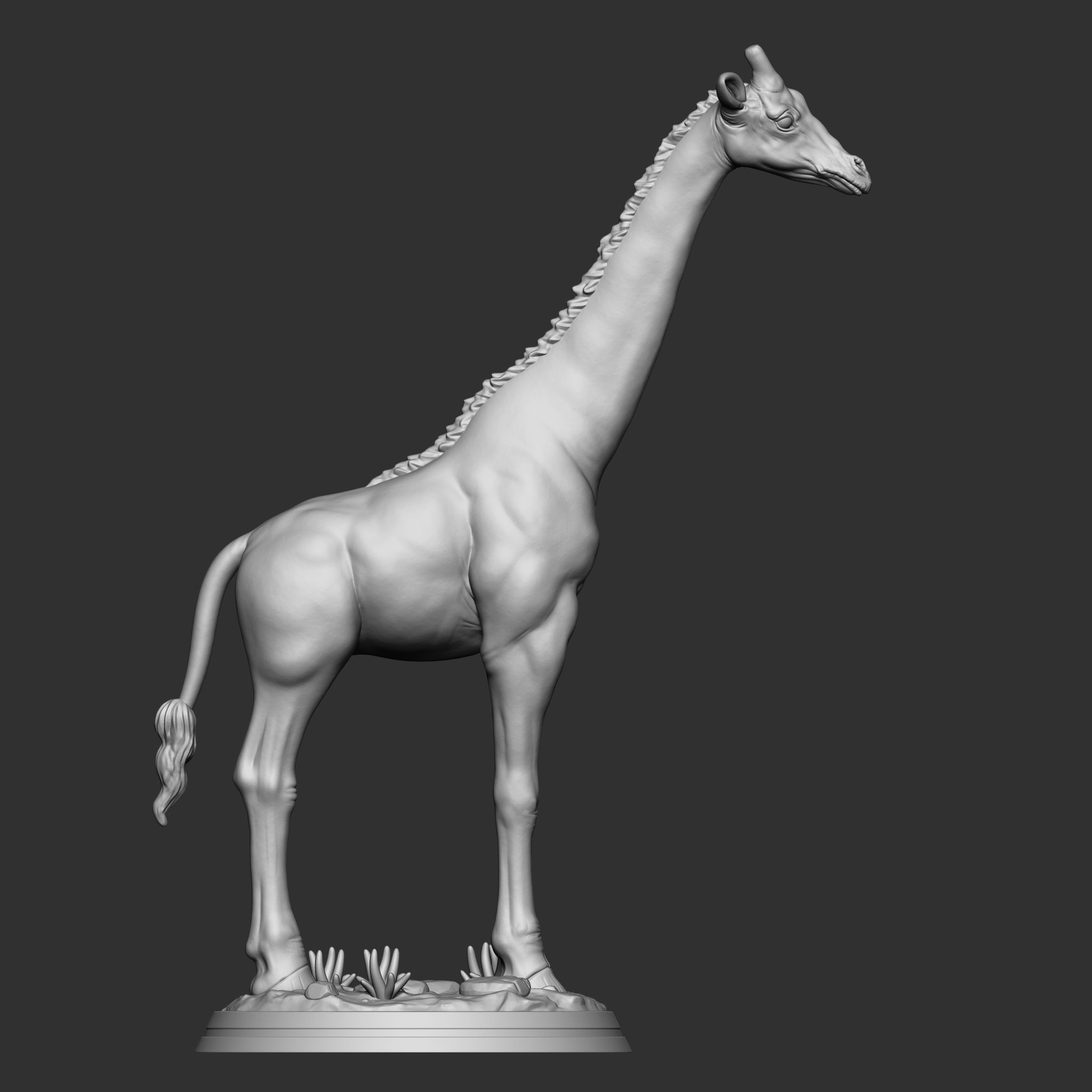 GIRAFFE 3D print model_4