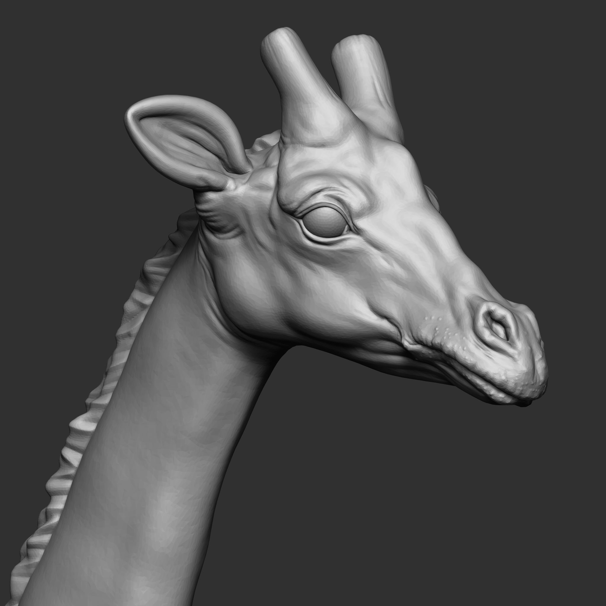 GIRAFFE 3D print model_5