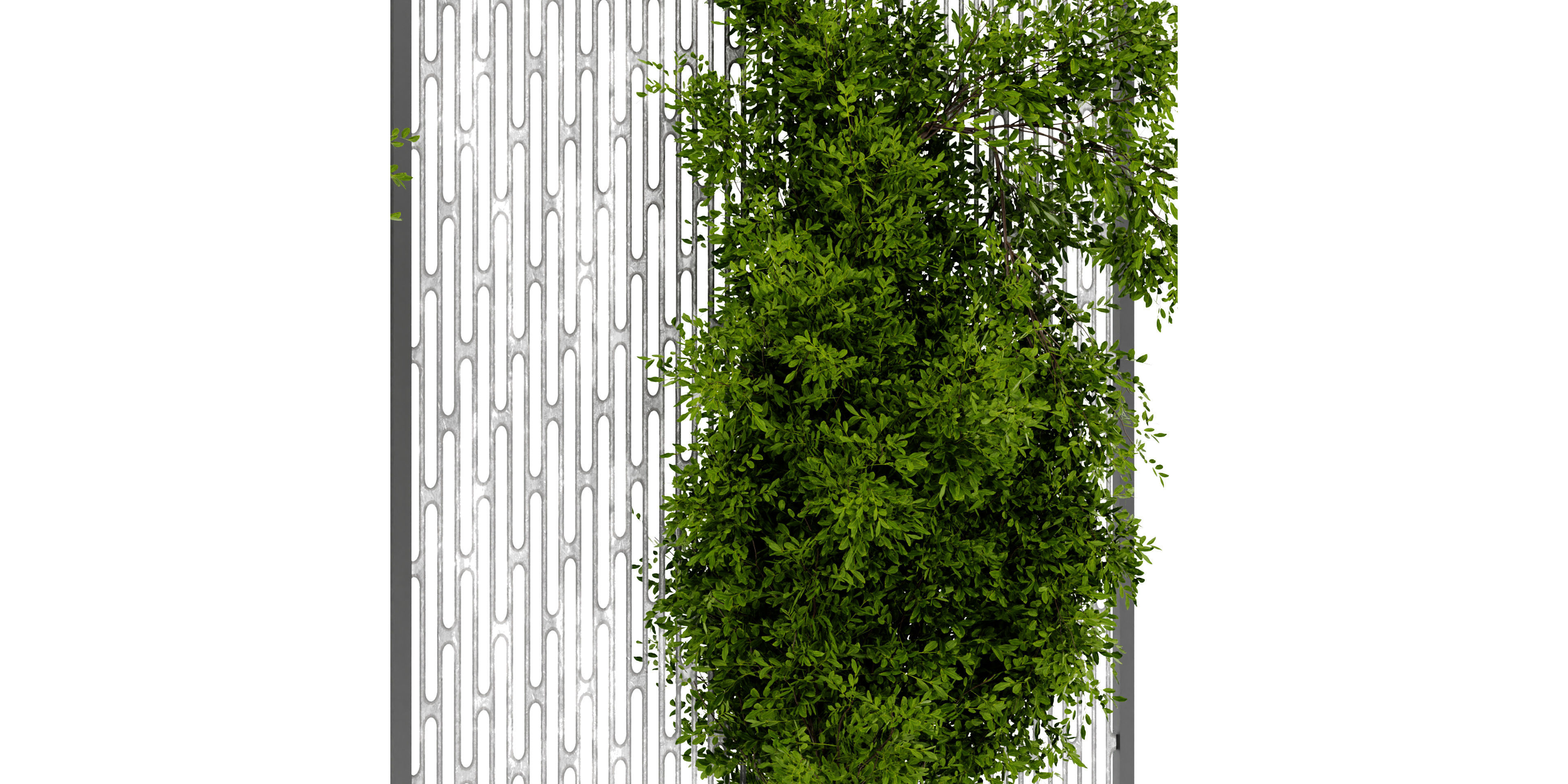 Collection plant vol 472 - blender model  3D model_2