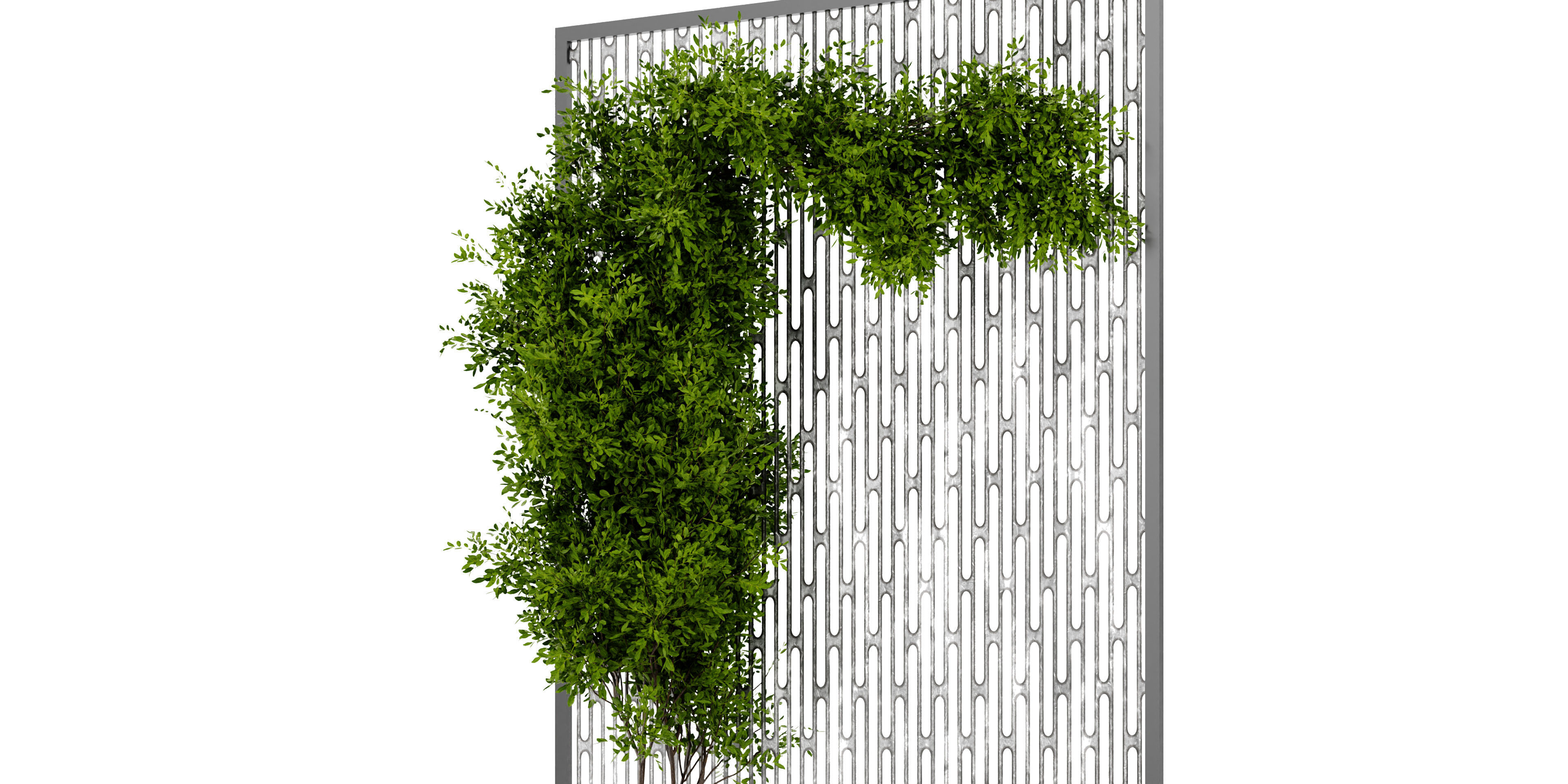 Collection plant vol 472 - blender model  3D model_4