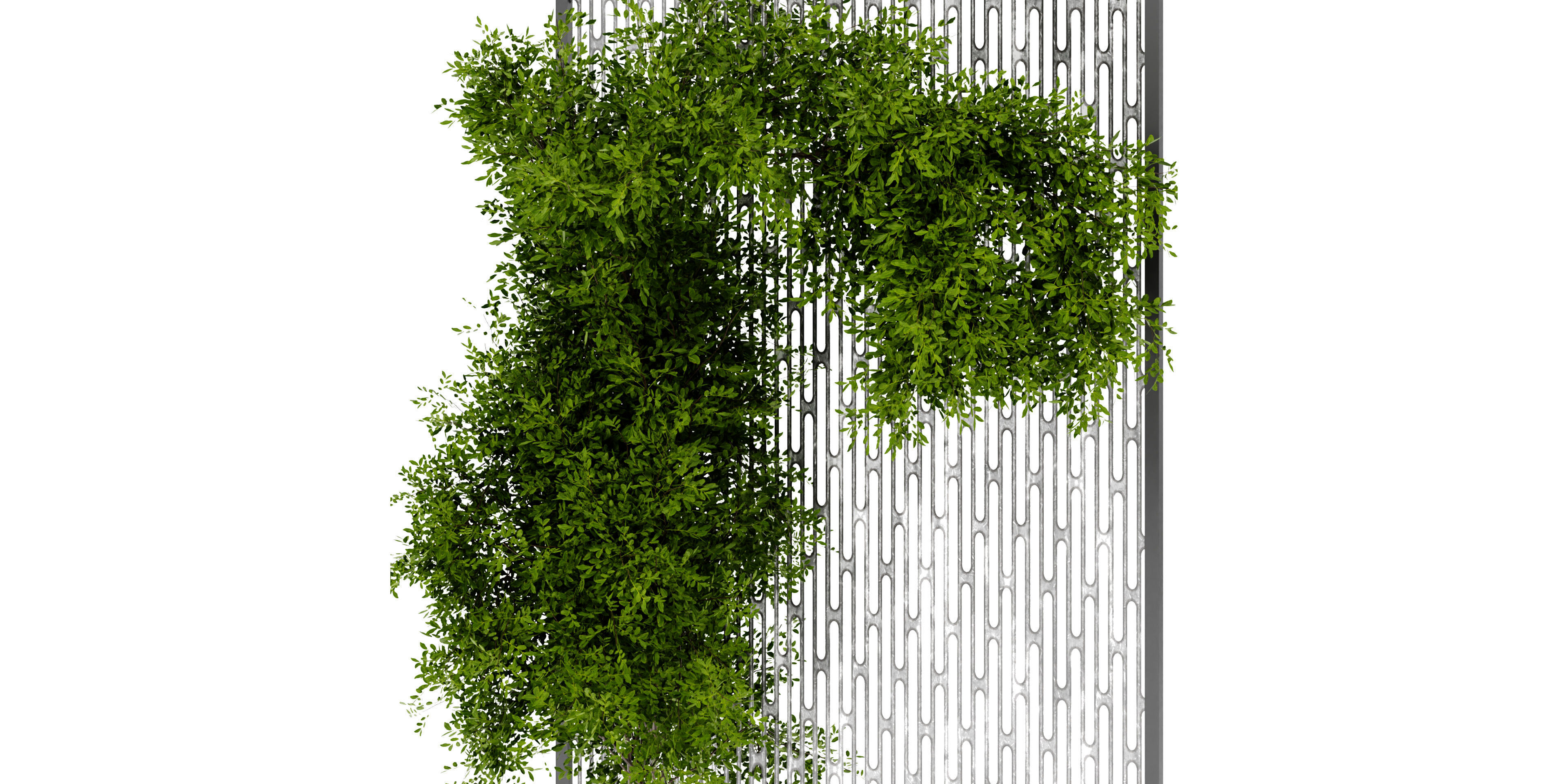 Collection plant vol 472 - blender model  3D model_3