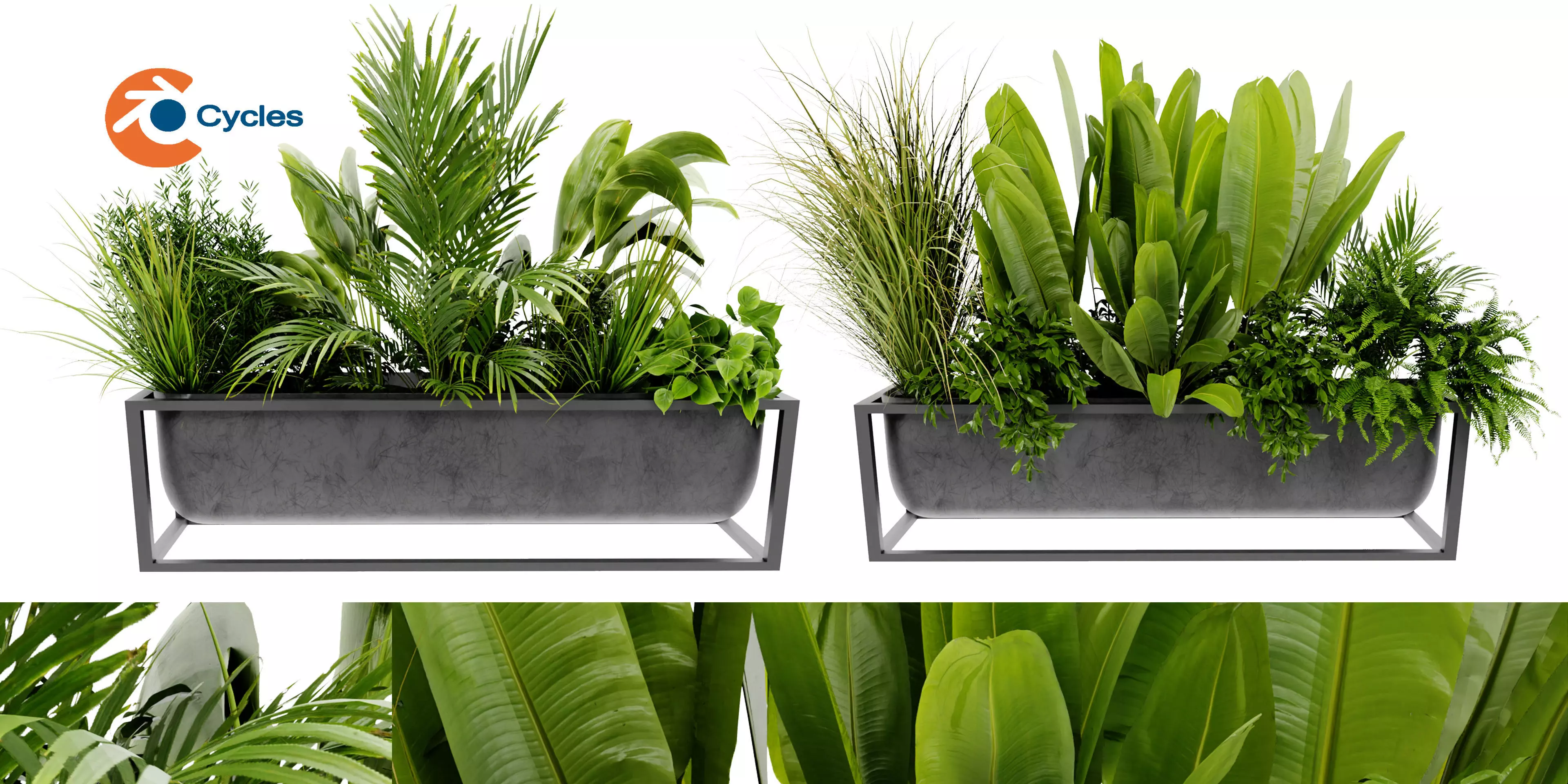 Collection plant vol 473 - blender model 3D model
