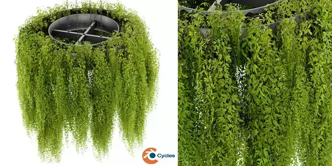 Collection plant vol 474 - blender model  3D model