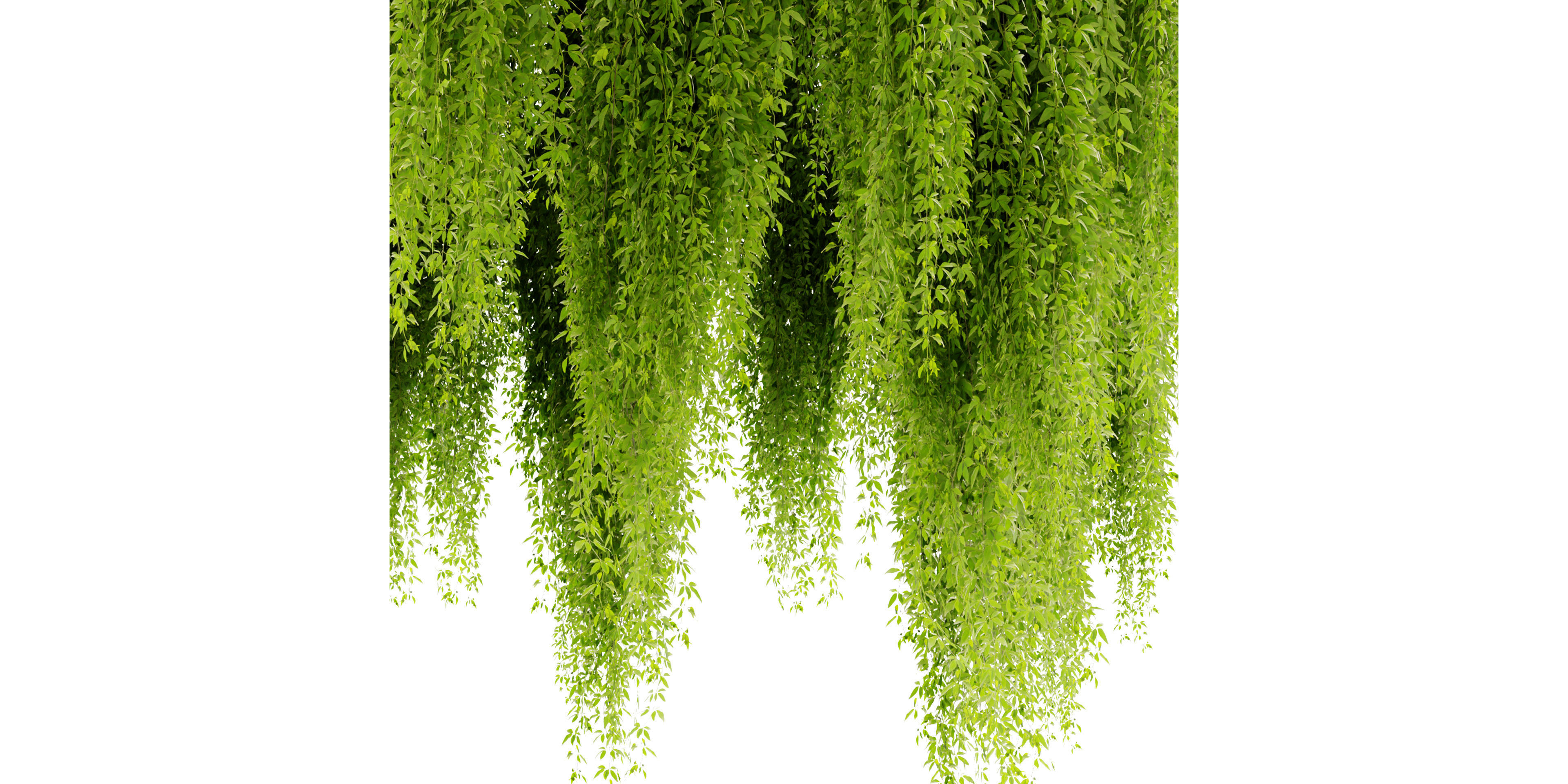 Collection plant vol 474 - blender model  3D model_4