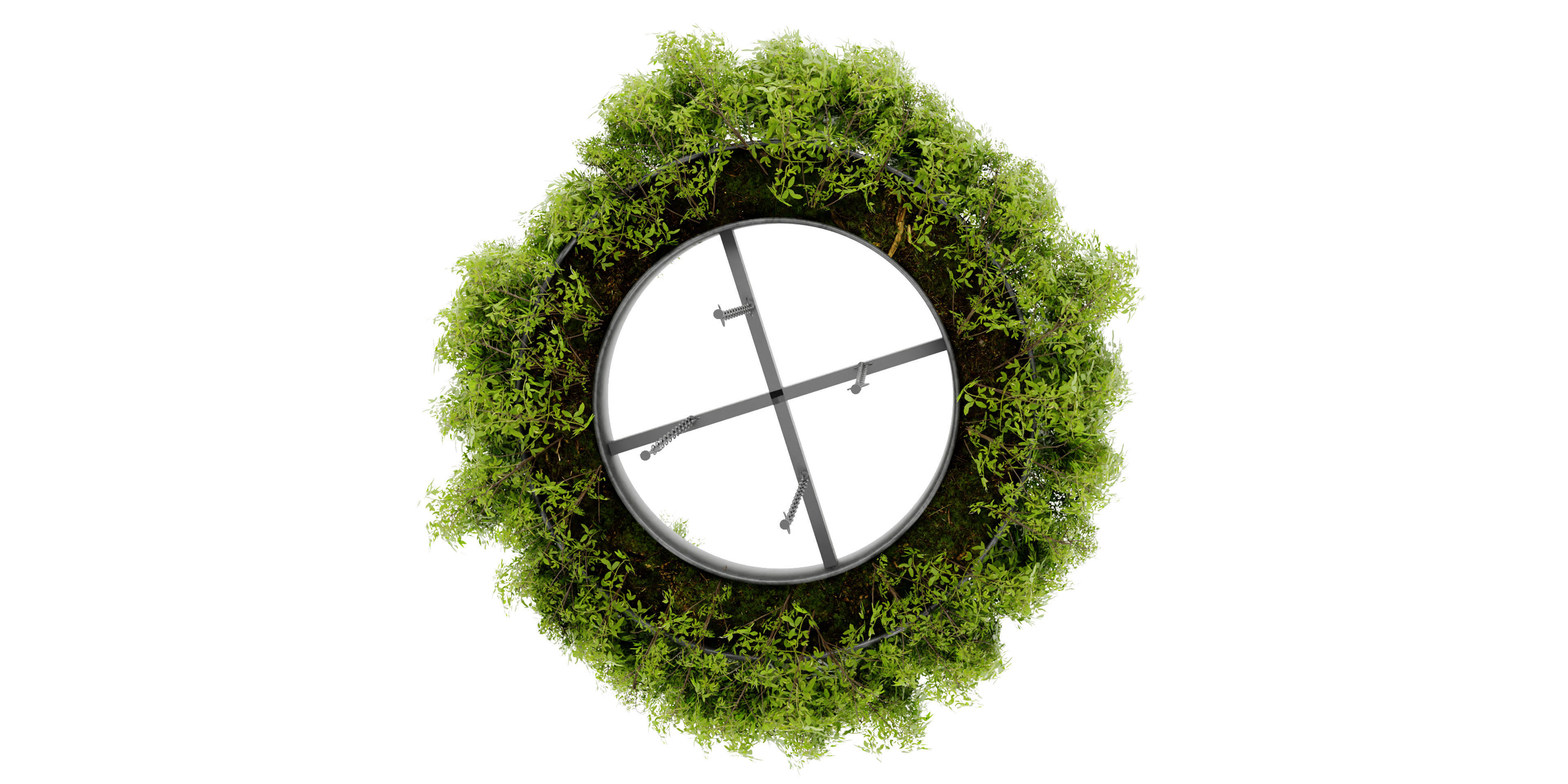 Collection plant vol 474 - blender model  3D model_5