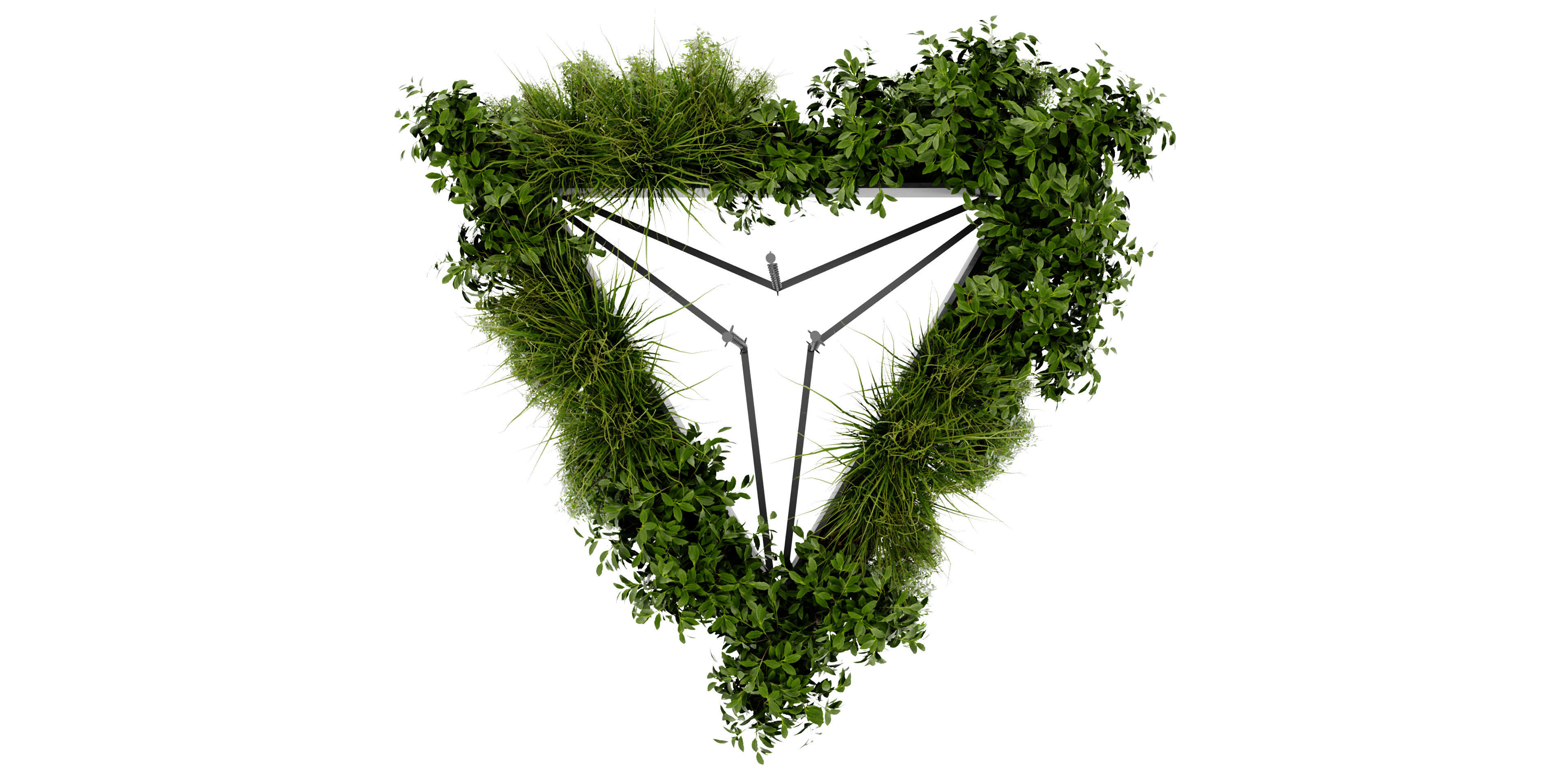 Collection plant vol 477 - blender model  3D model_4