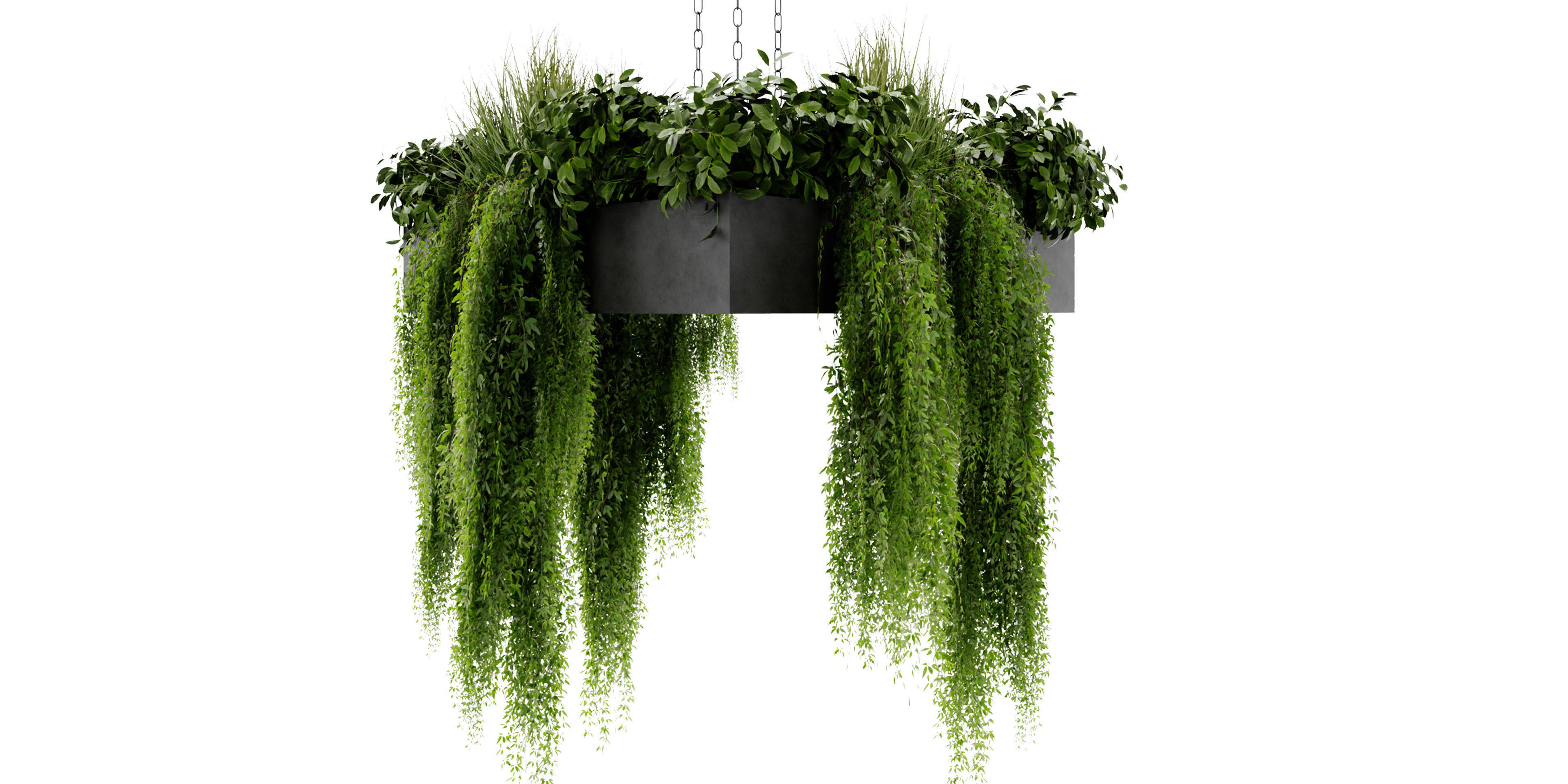 Collection plant vol 477 - blender model  3D model_5