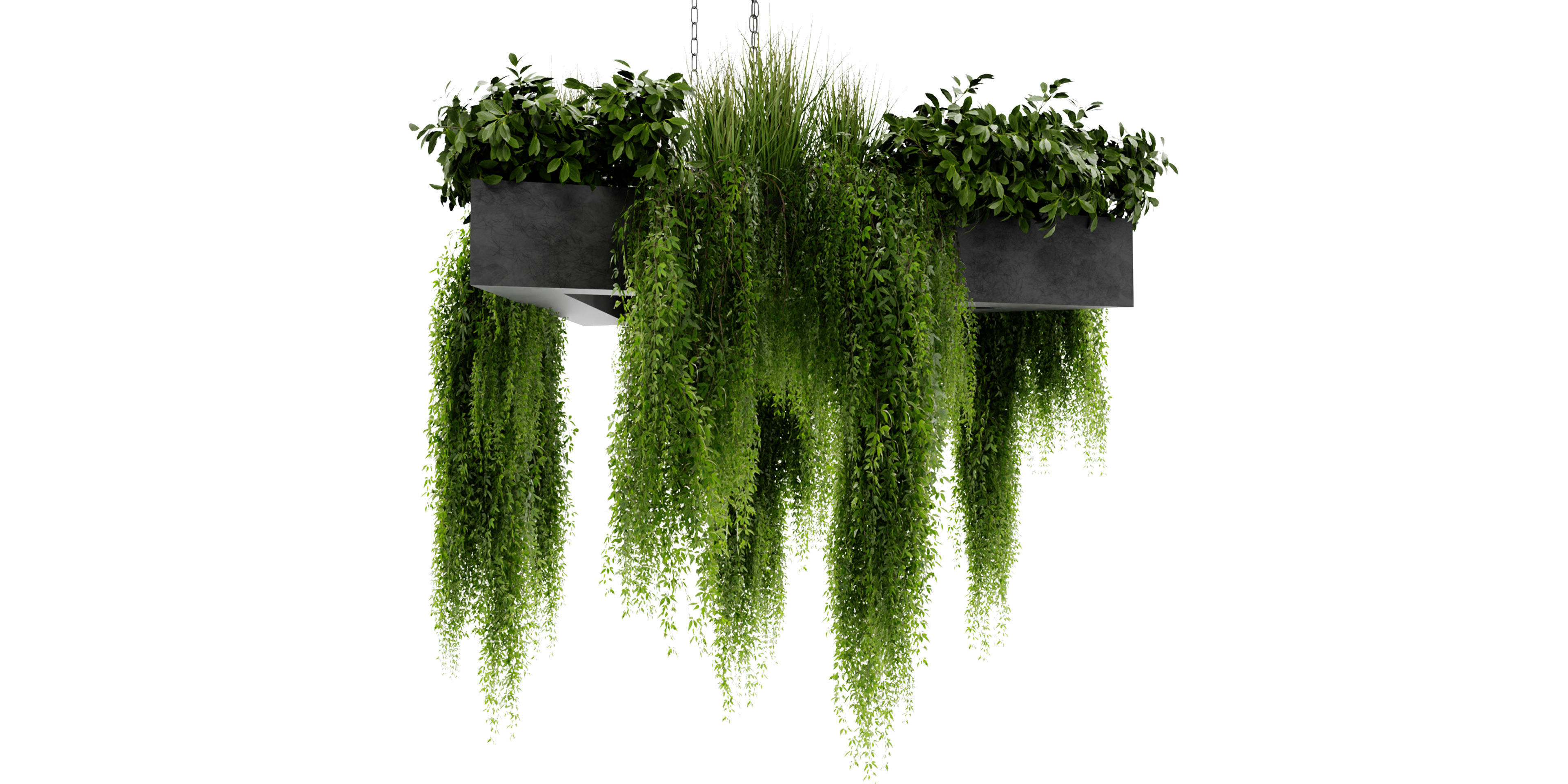 Collection plant vol 477 - blender model  3D model_3