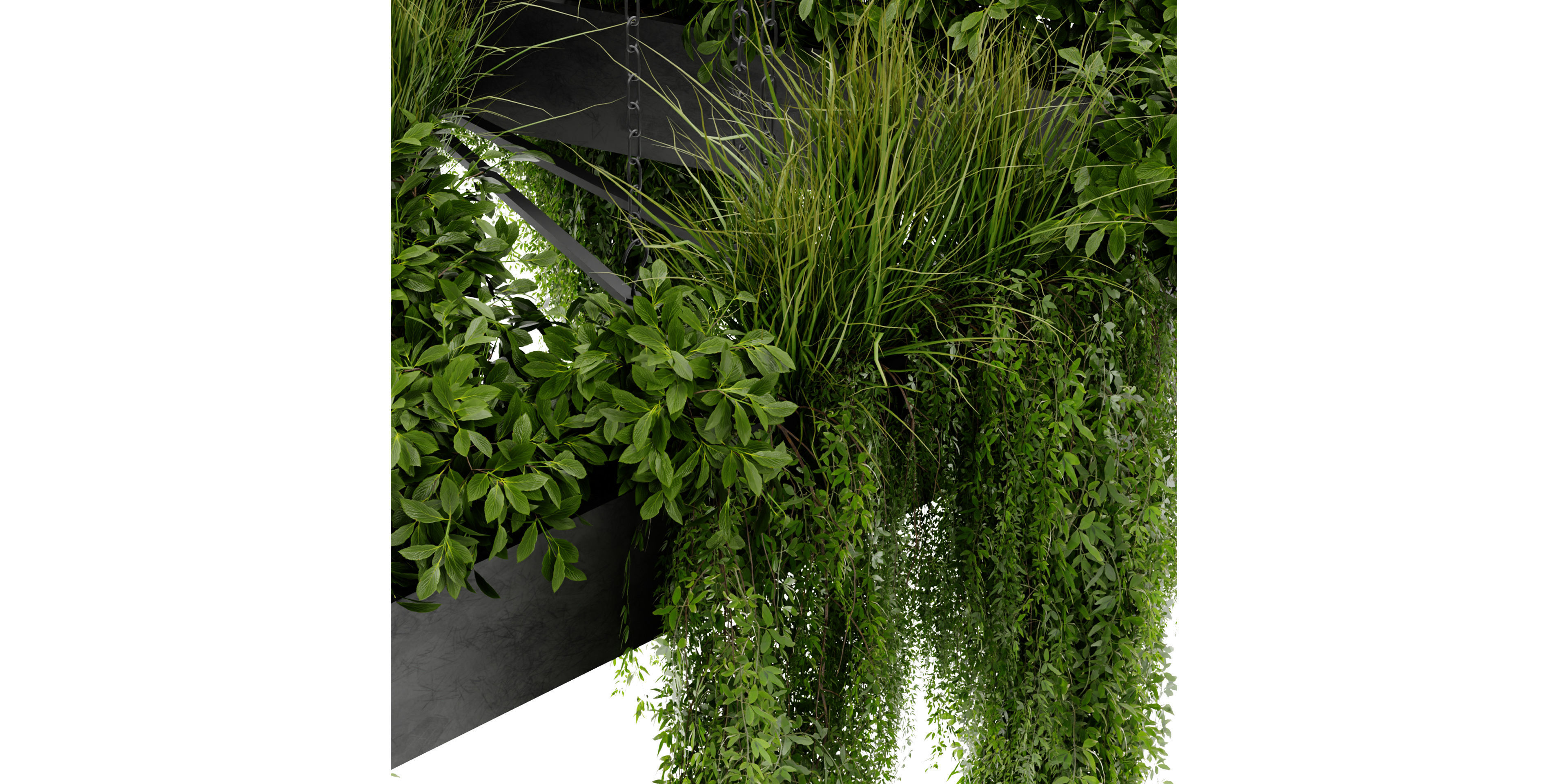 Collection plant vol 477 - blender model  3D model_2