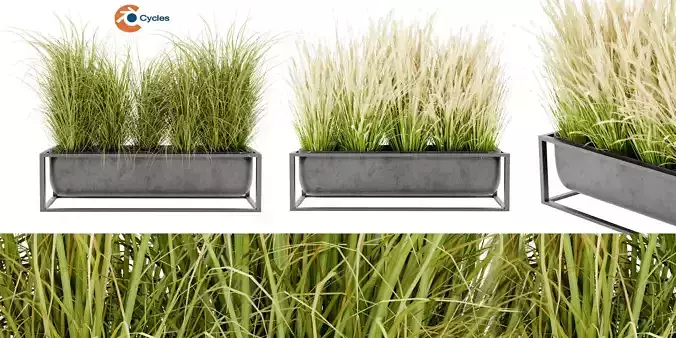 Collection plant vol 478 - blender model 