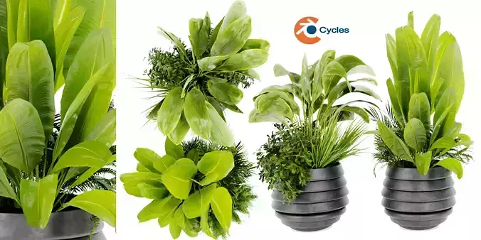 Collection plant vol 480 - blender model 