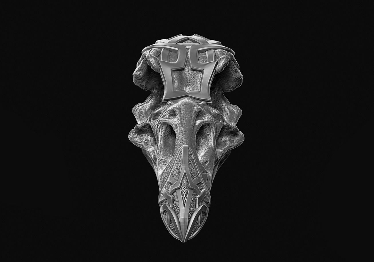 Stylized Raven Skull  3D print model_2