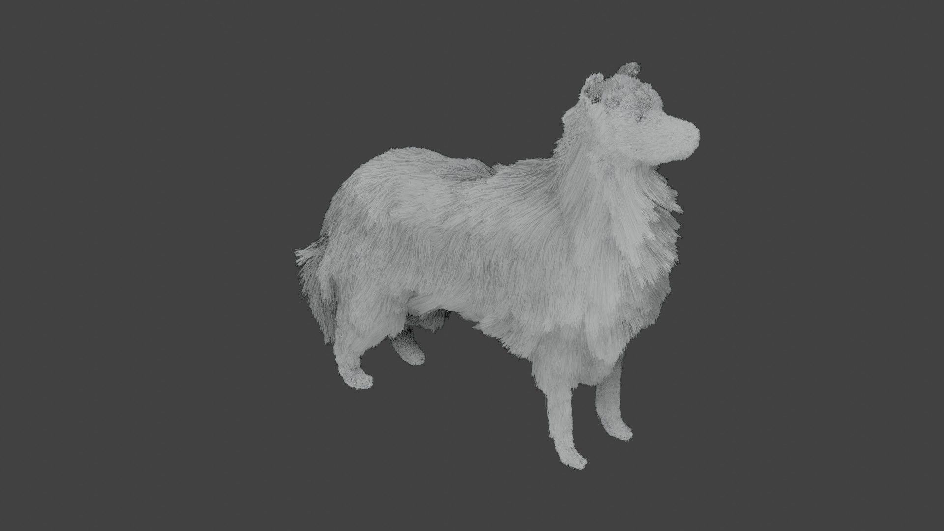 Dog furry Low-poly 3D model_5