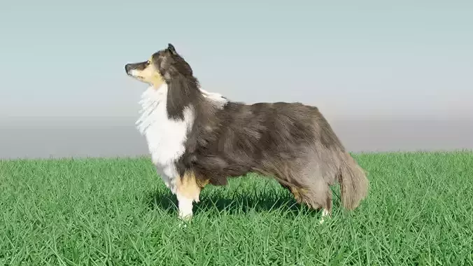 Dog furry Low-poly 3D model