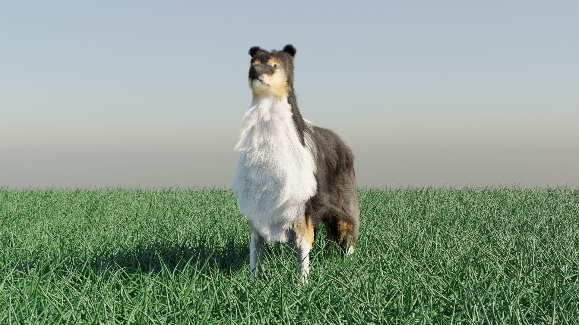 Dog furry Low-poly 3D model_9