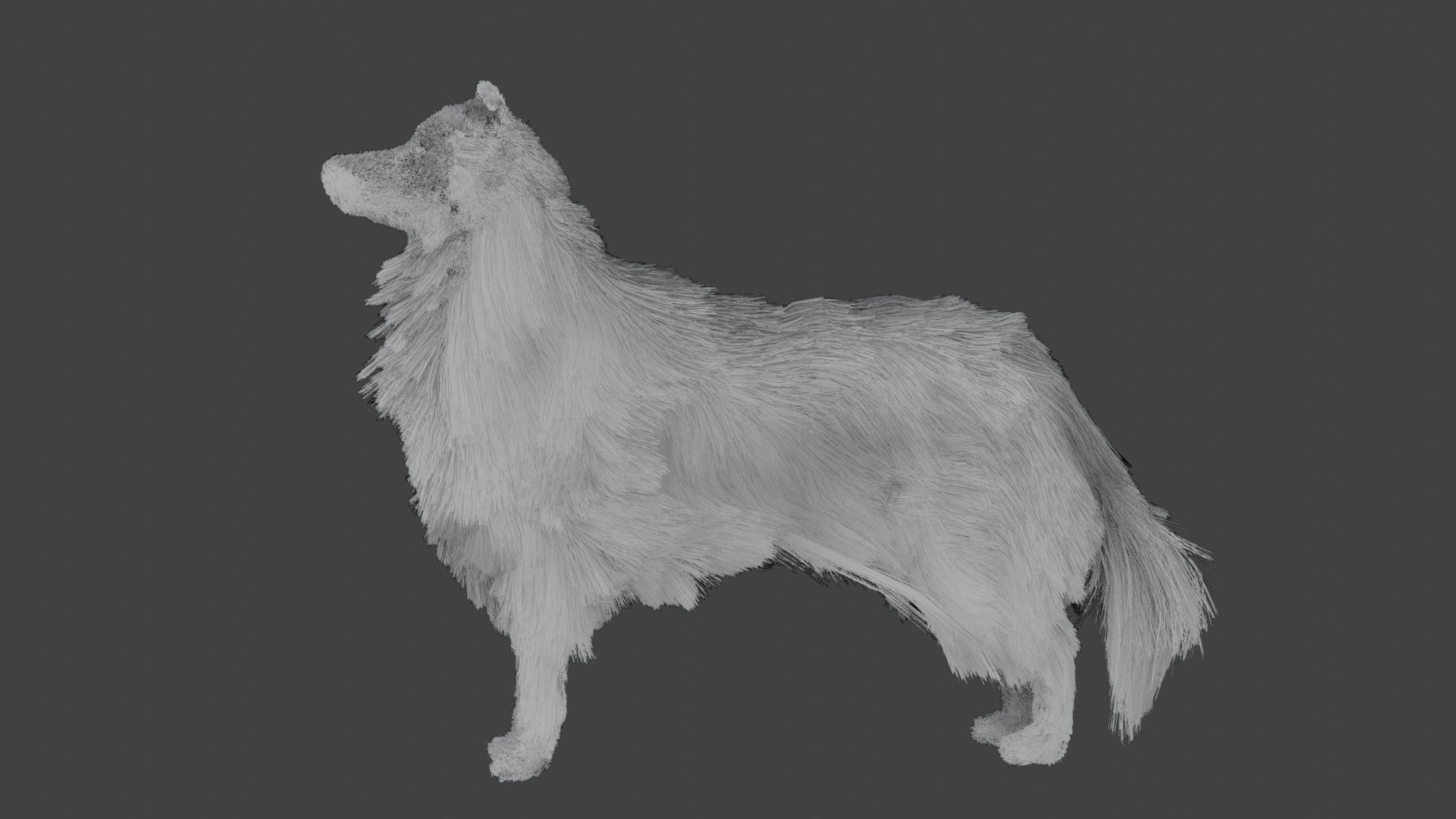 Dog furry Low-poly 3D model_4