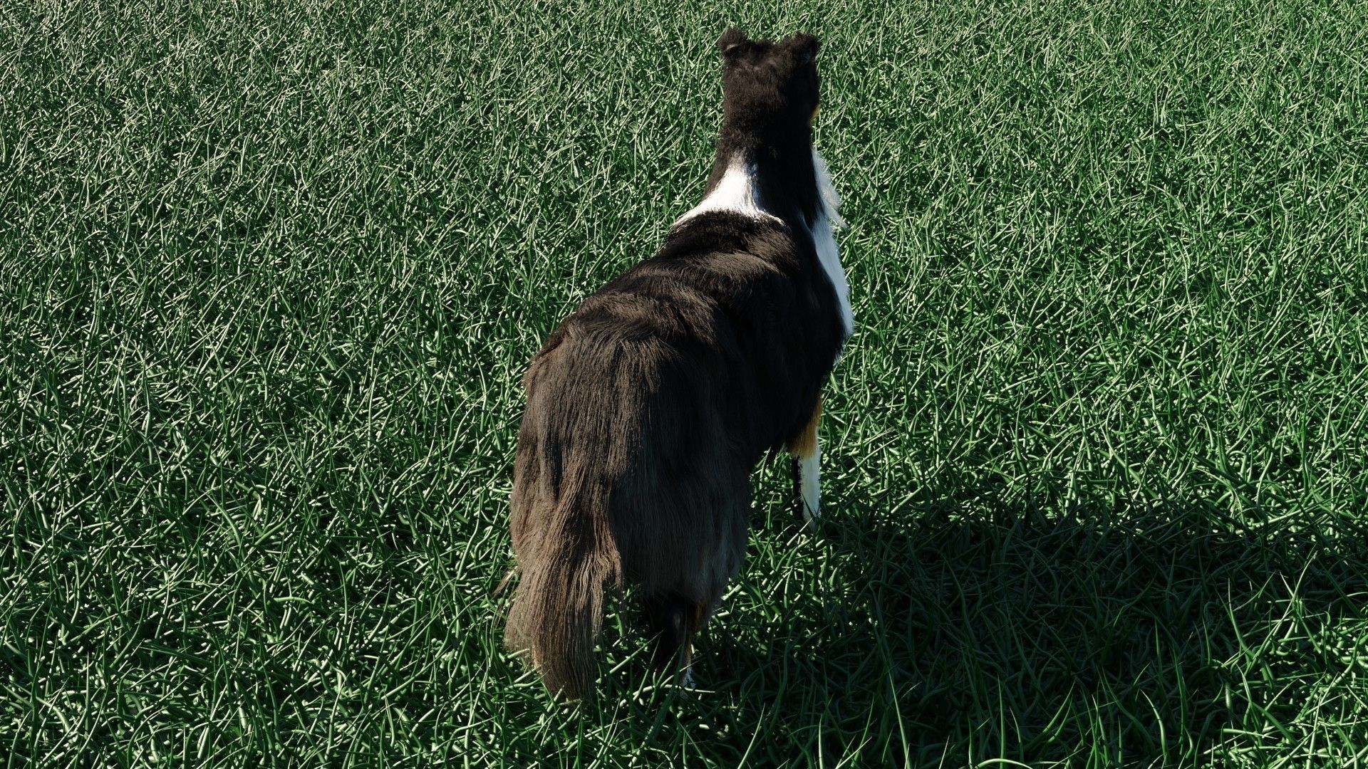 Dog furry Low-poly 3D model_8