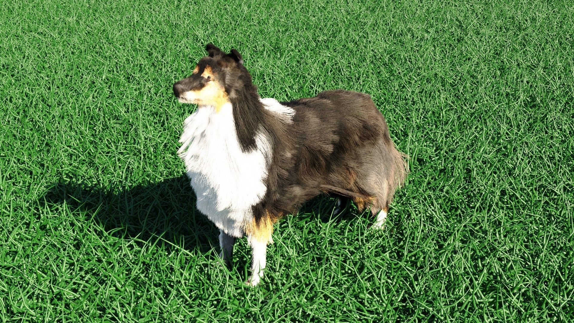 Dog furry Low-poly 3D model_1