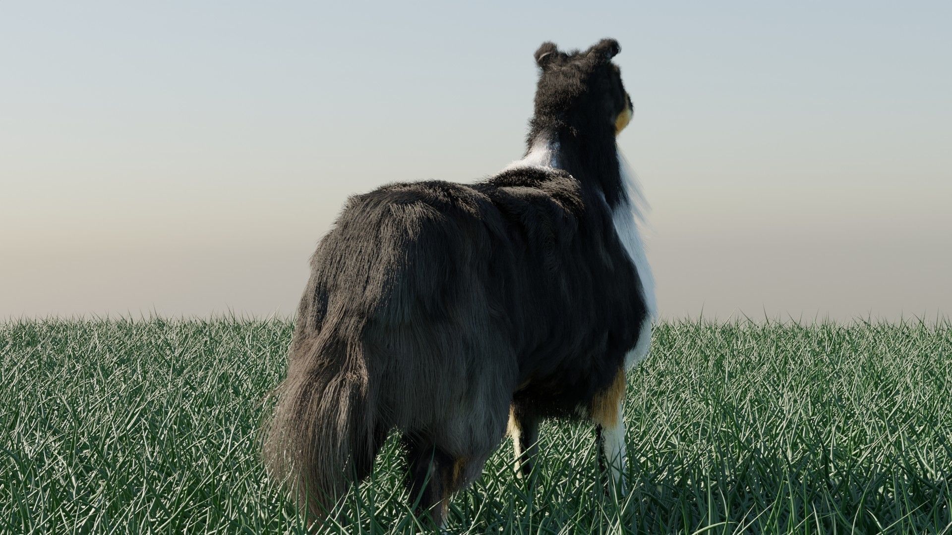 Dog furry Low-poly 3D model_10