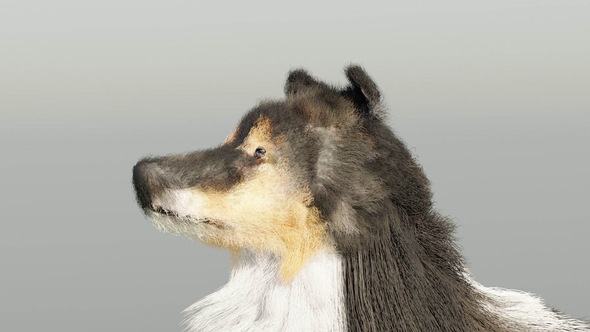 Dog furry Low-poly 3D model_3