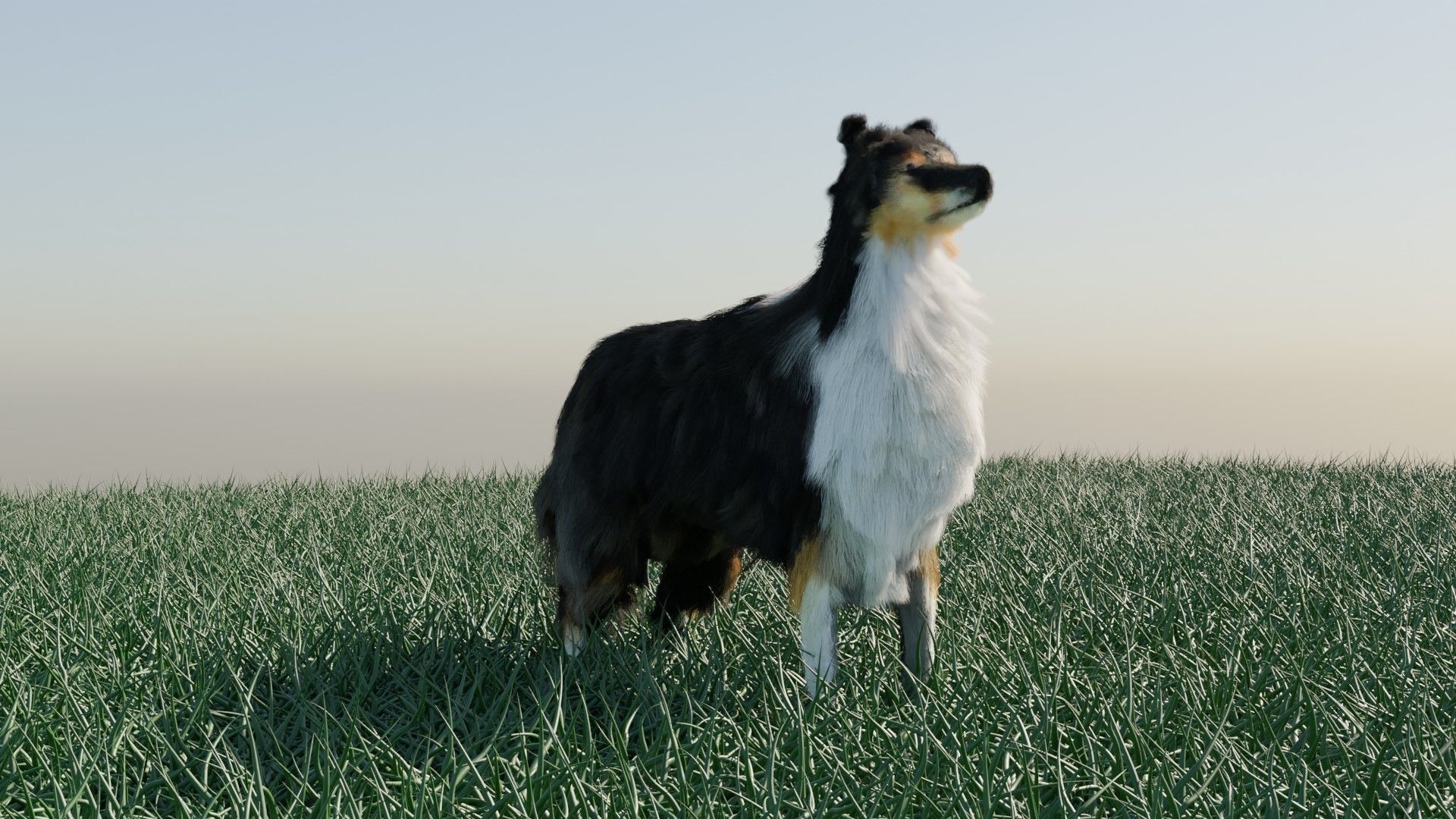 Dog furry Low-poly 3D model_2