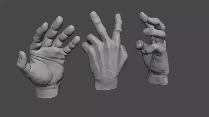 Human hand 3D model