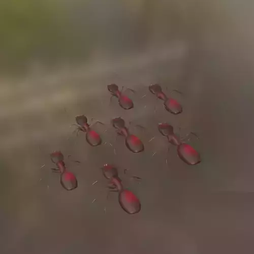 Low Poly Red Ant  Low-poly 3D model