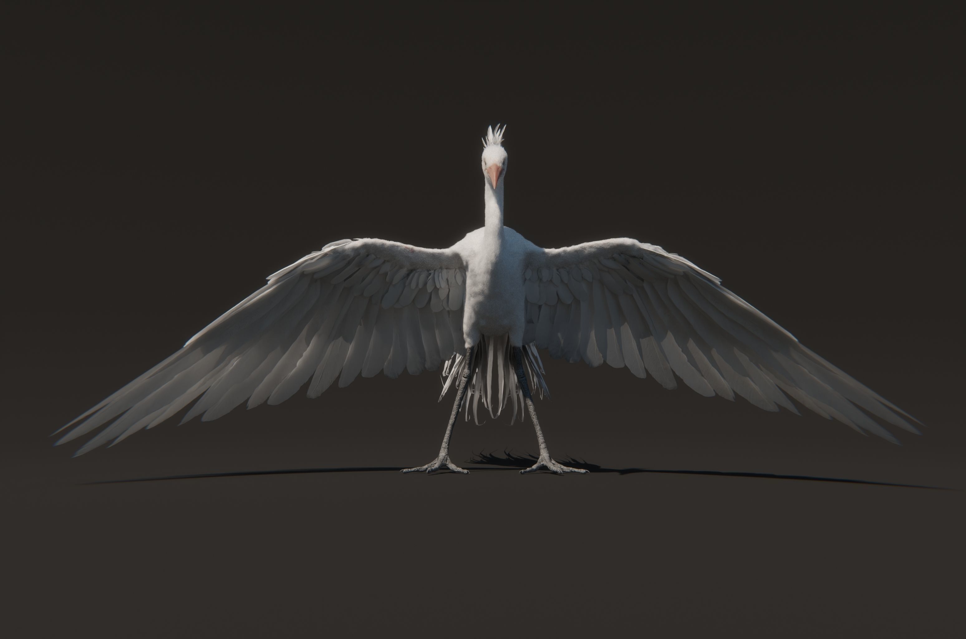 Chim Lac Bird - Rigged - Animated 3D model_3