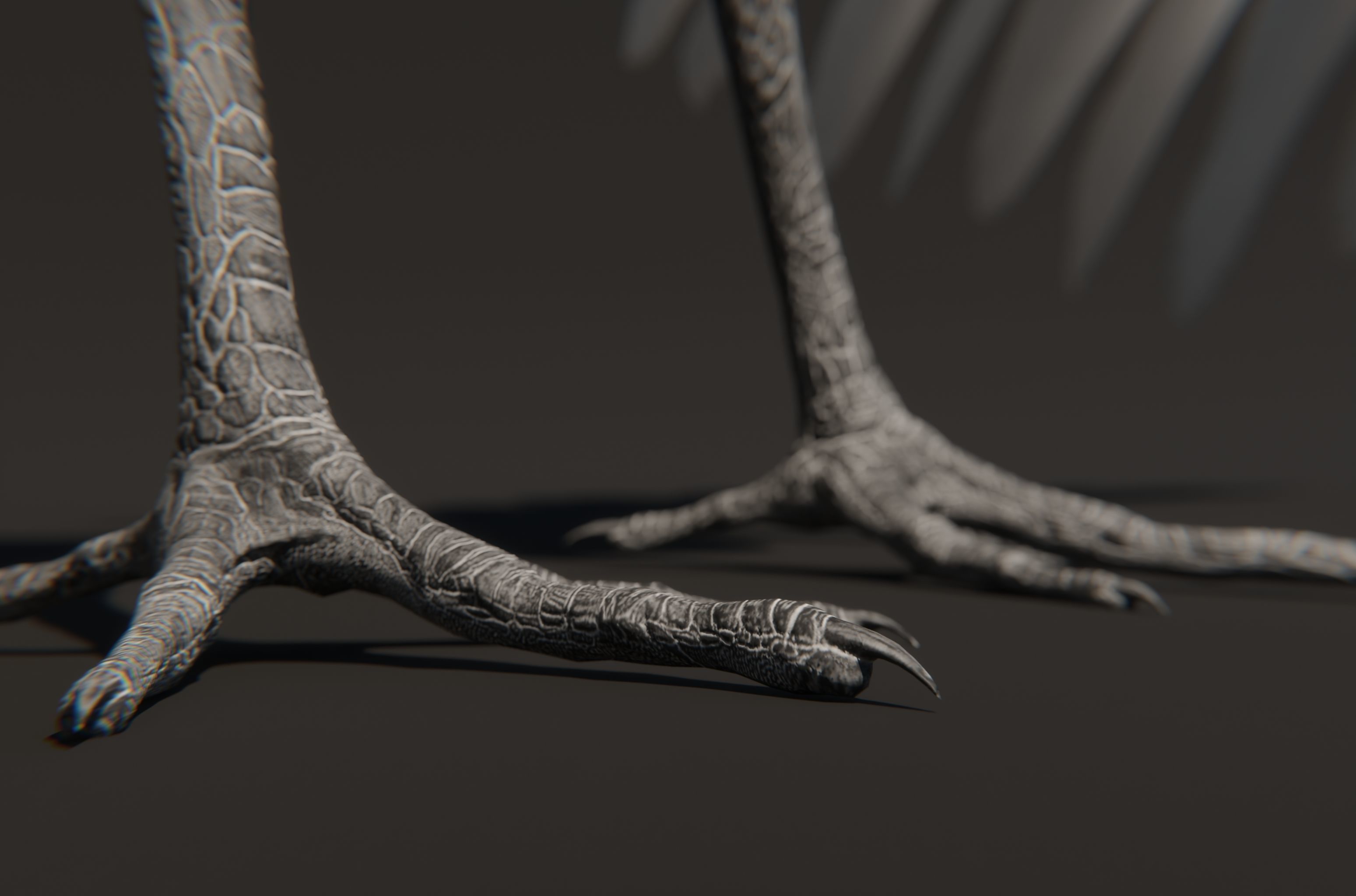 Chim Lac Bird - Rigged - Animated 3D model_2