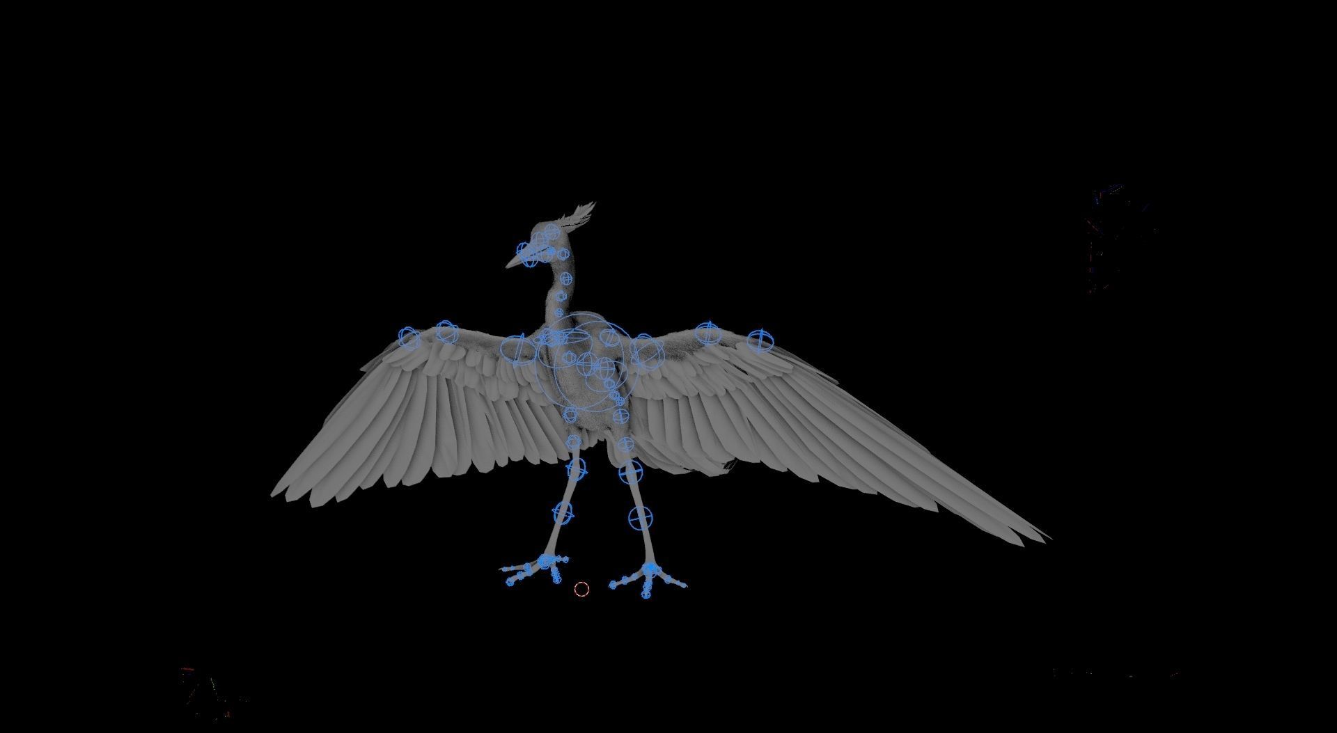 Chim Lac Bird - Rigged - Animated 3D model_6