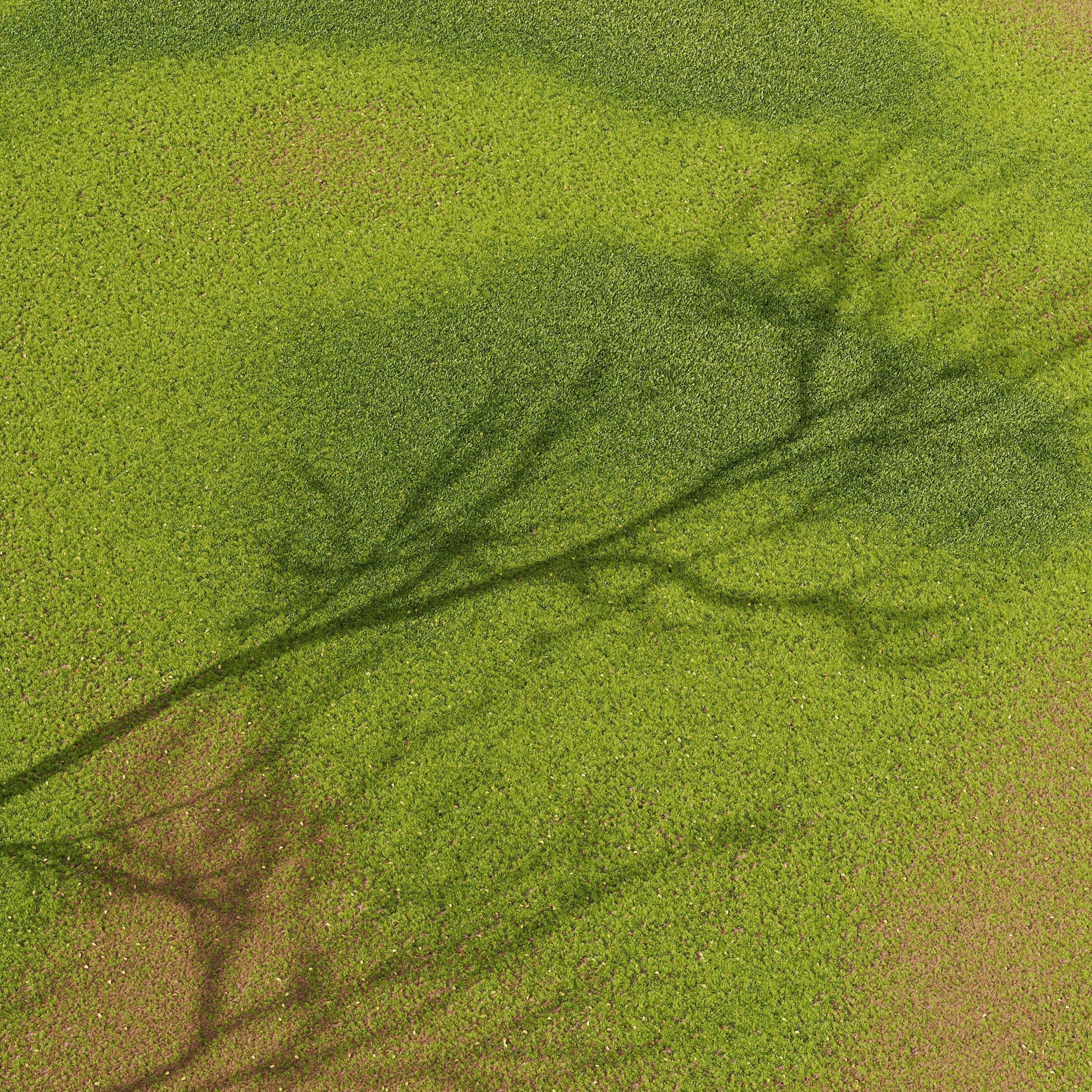 HQ Grass Meadow Green Land 3D model_2