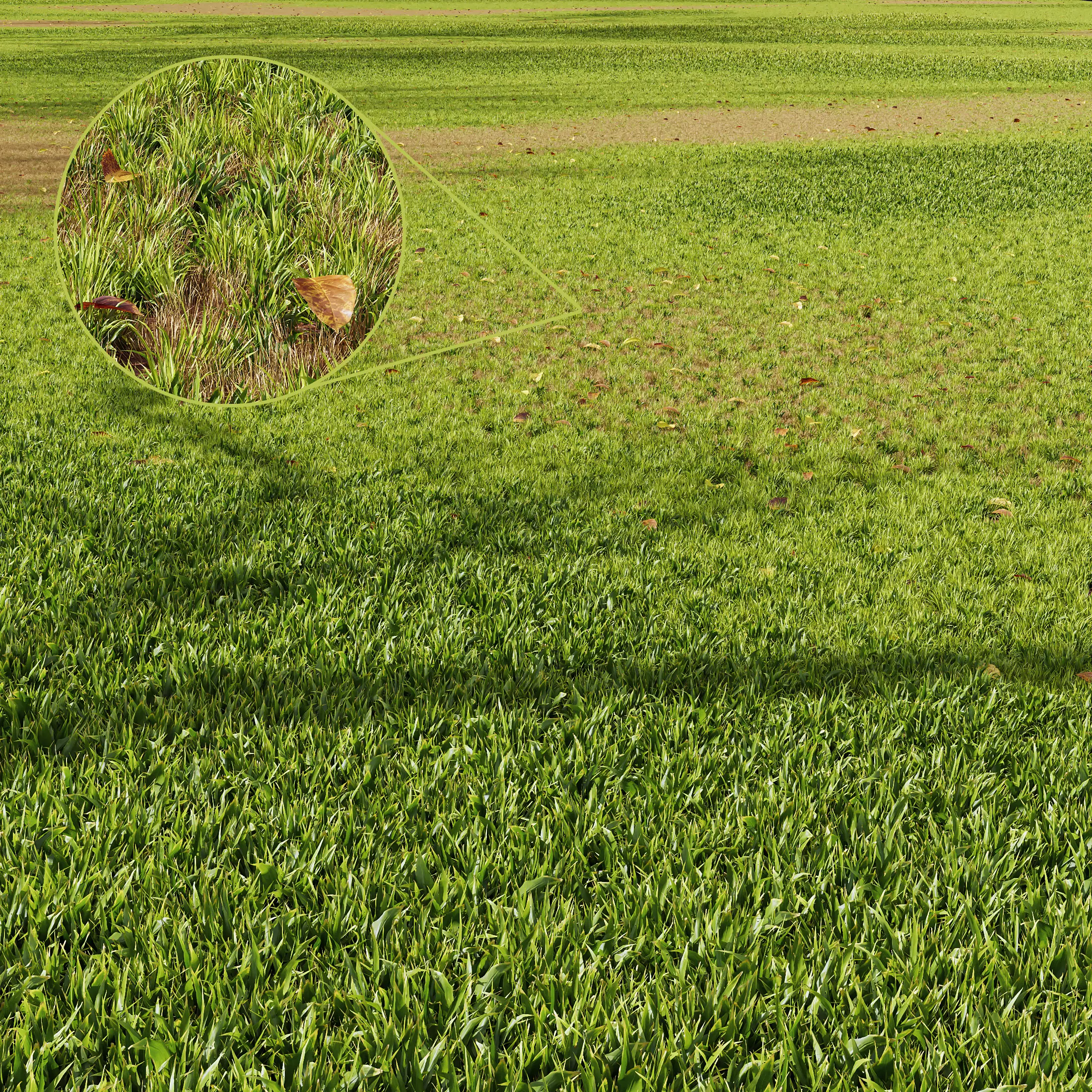 HQ Grass Meadow Green Land 3D model_0
