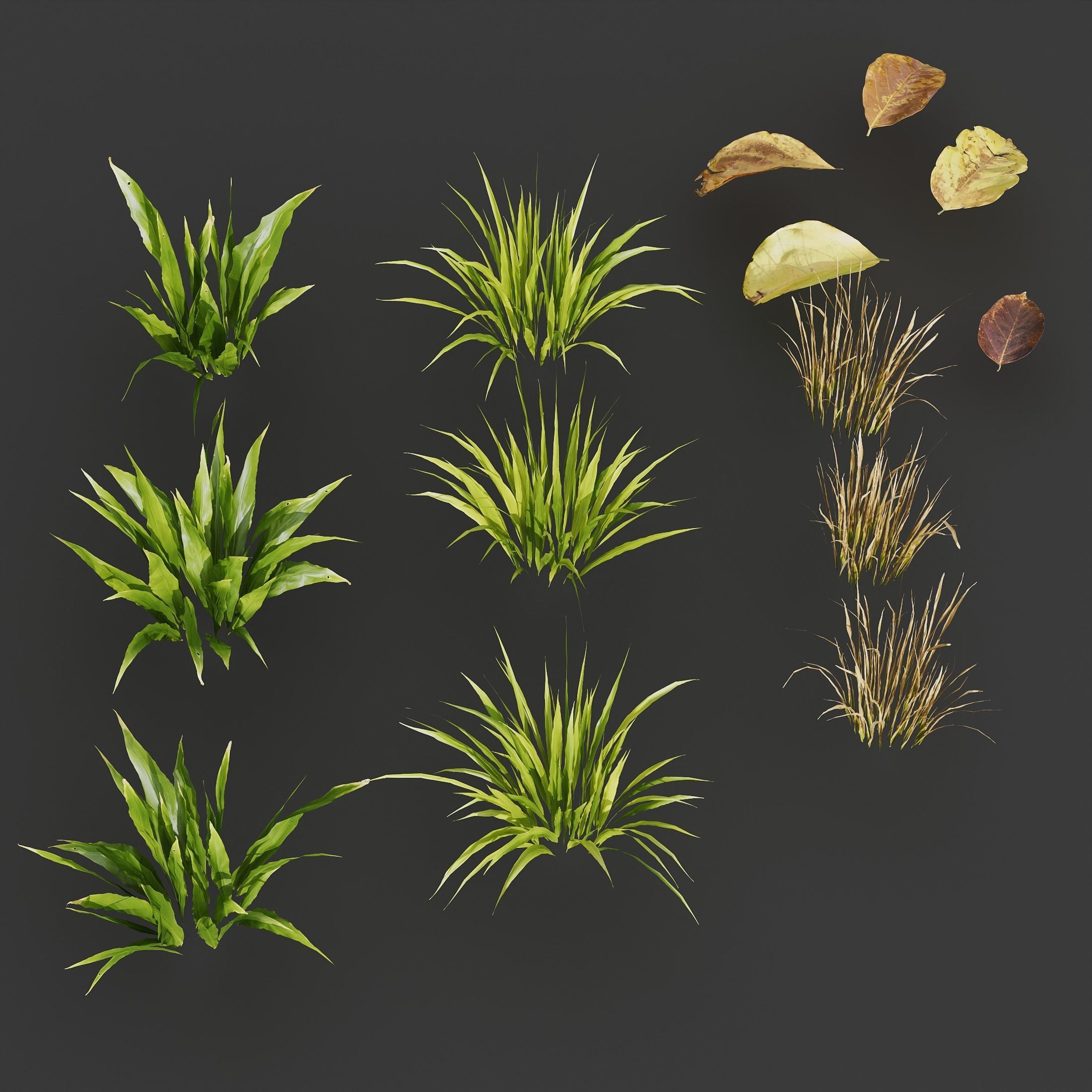 HQ Grass Meadow Green Land 3D model_3