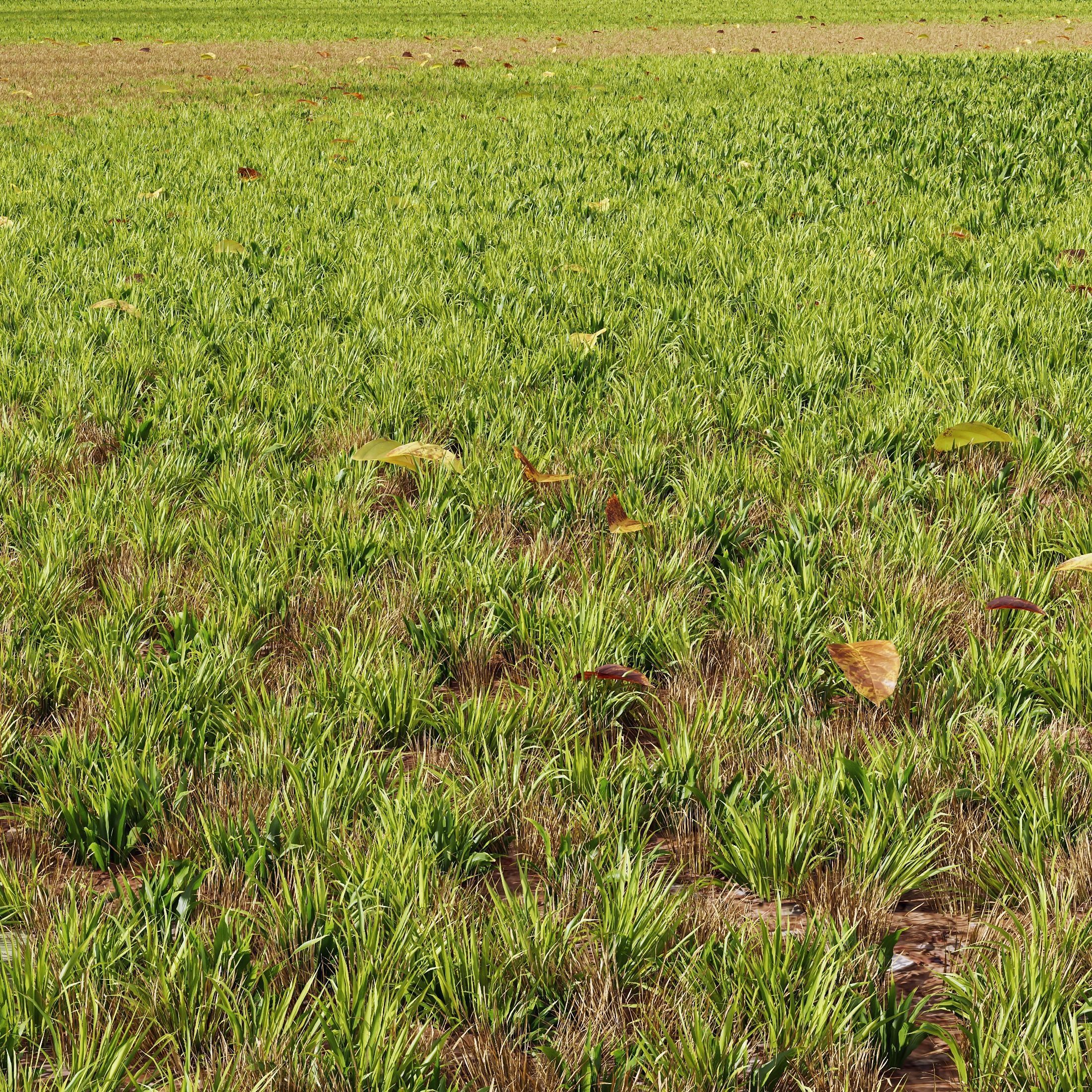 HQ Grass Meadow Green Land 3D model_1