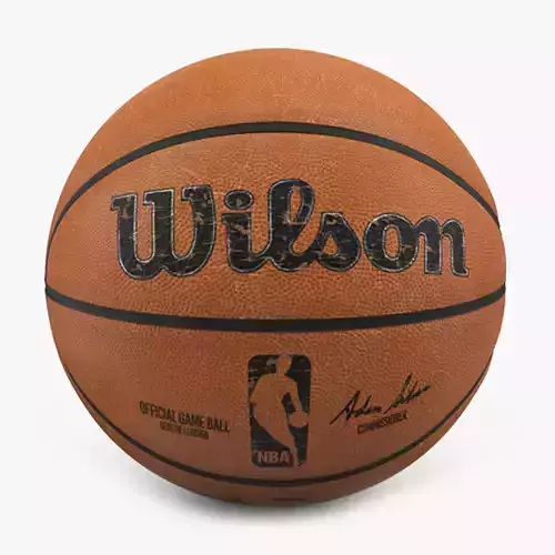 Used Official NBA Game Basketball