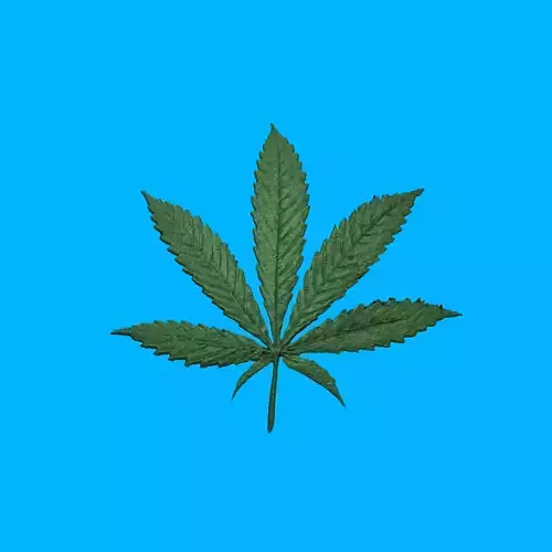 marijuana leaf Free 3D model