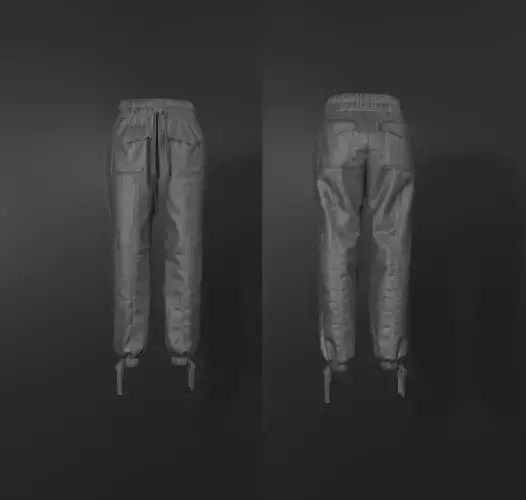 Women Nylon Pant
