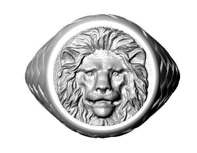 STL ERKEK YUZUGU 3D model_2