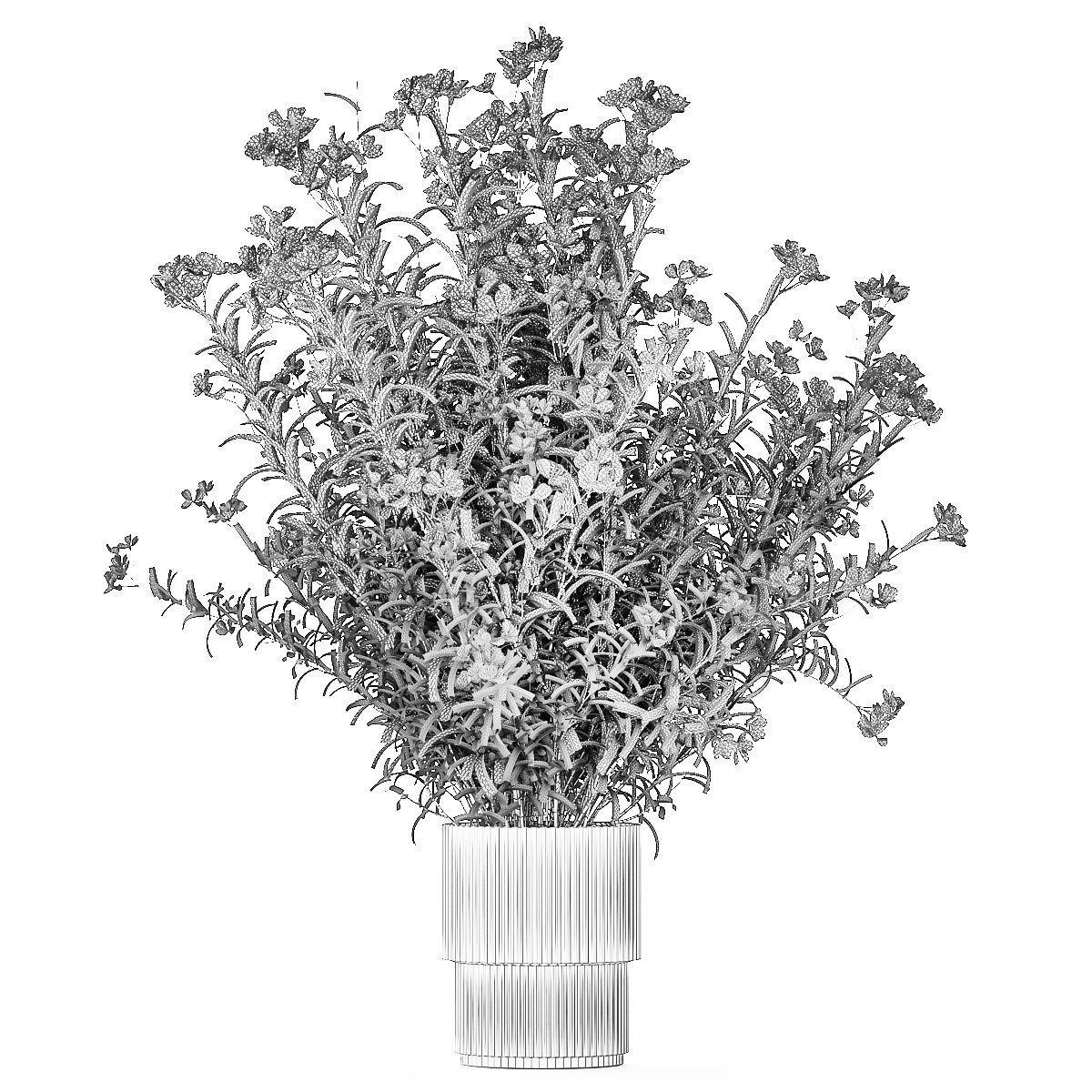 Beautiful bushes with white Nerium oleander flowers in pots 3D model_14