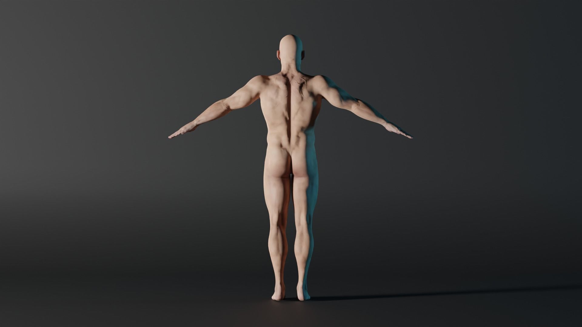 Realistic Male - Charlie 3D model_3