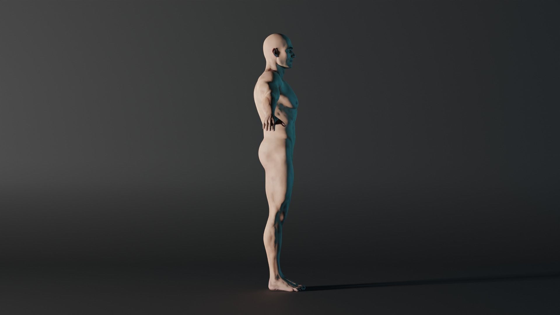 Realistic Male - Charlie 3D model_2