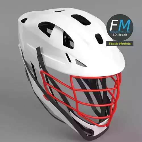 Field sport helmet
